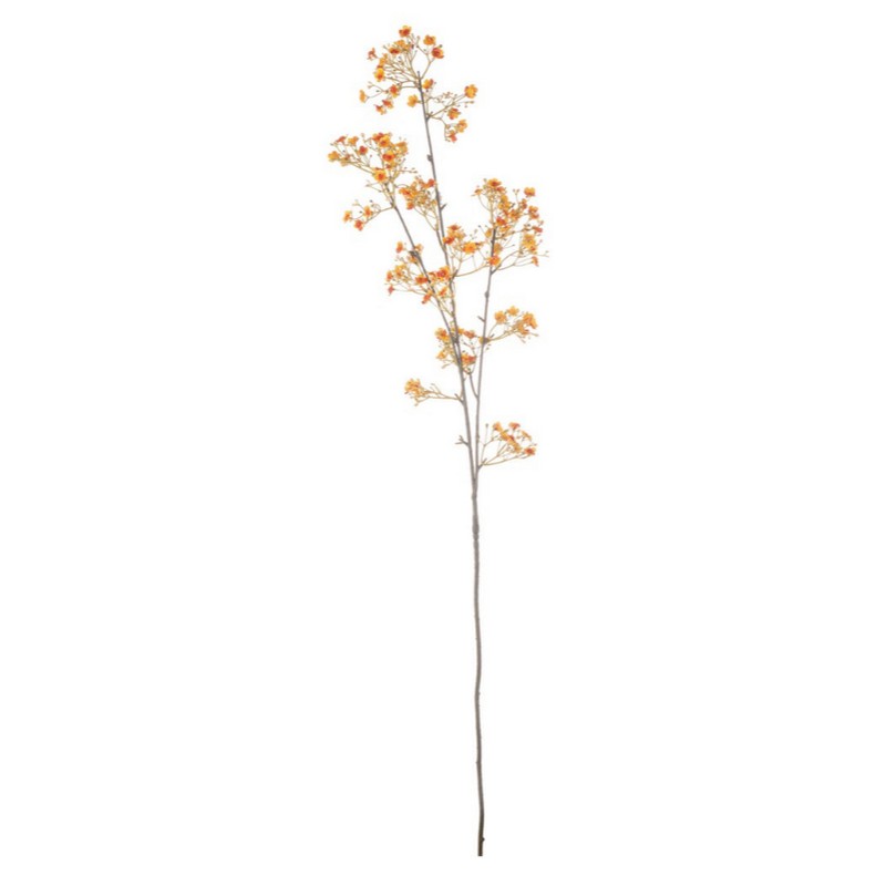 Ramo con fiori arancioni autunnali di gypsophila